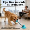 Hiperactivos Interactivos Cachorros Juguetes Para Perros