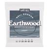 Ernie Ball Light Earthwood Bell Bronze Acoustic Guitar Strings 11-52