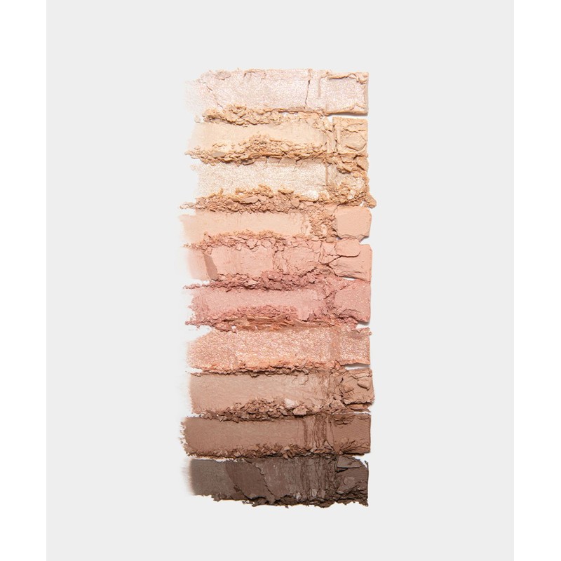 Too Cool For School Protage Eye Palette