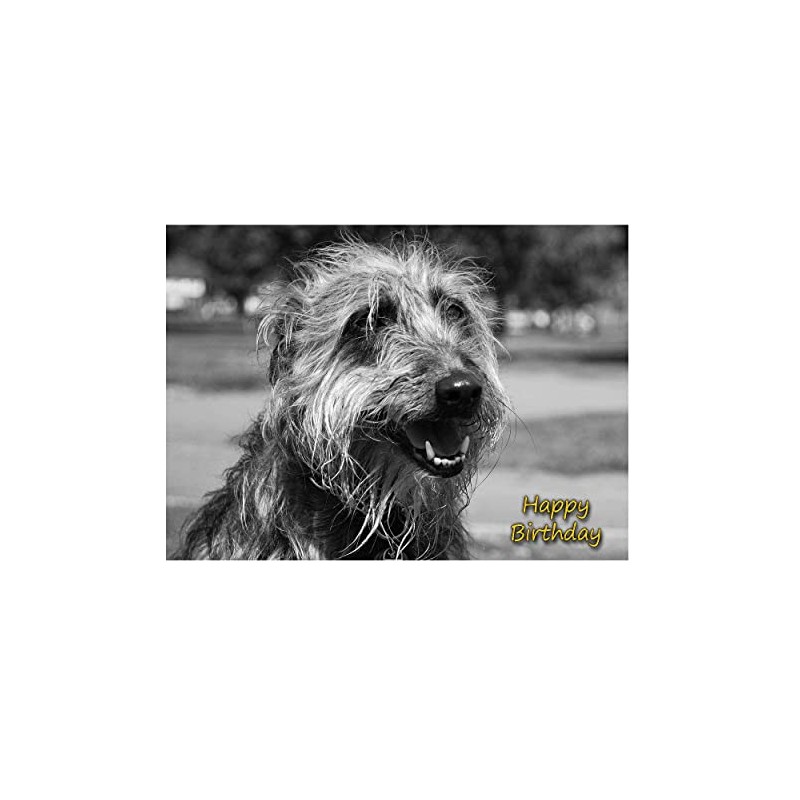 Lurcher Birthday Card