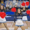 Faxco 12Pack Plastic Pom Poms Cheerleading Pom Poms Sports Dance