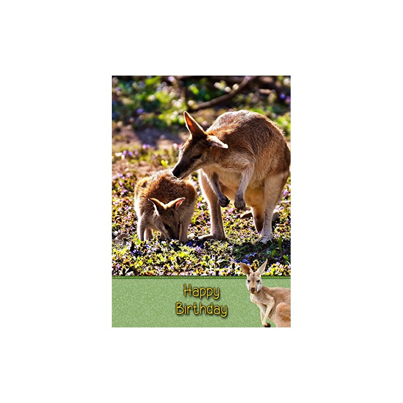 Kangaroo Birthday Card