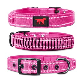 Heavy Duty Dog Collar with Handle | Ballistic Nylon Heavy Duty Collar | Padded Reflective Dog Collar with Adjustable Stainless Steel Hardware | Convenient Sizing for All Breeds