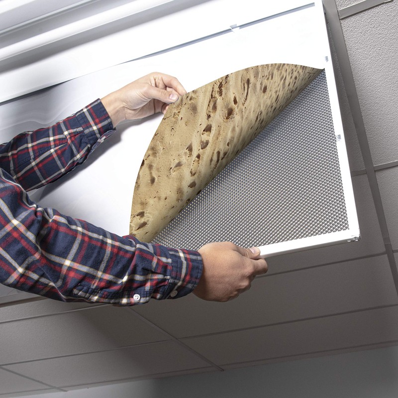 Fluorescent Light Cover for Classroom Ceiling Lights - Premium Backlit