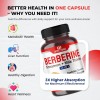 ULTRA HERBS Premium Berberine with Cinnamon, Milk Thistle *USA Made
