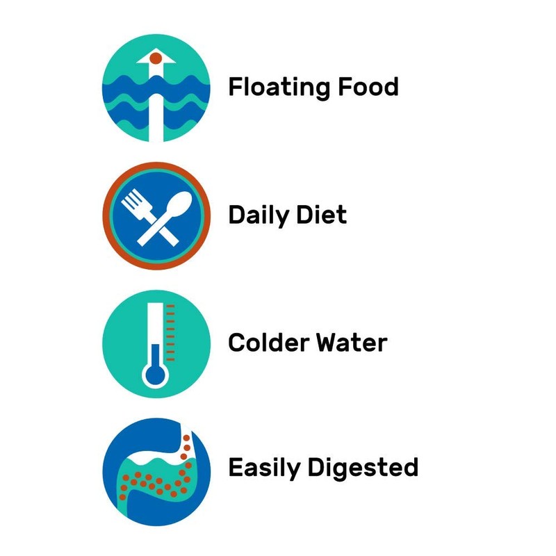 Hikari Usa Inc AHK06226 Wheat Germ 7-Ounce Mini