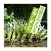 Kameya Wasabi Furikake Japanese Seaweed Rice Seasoning 48g