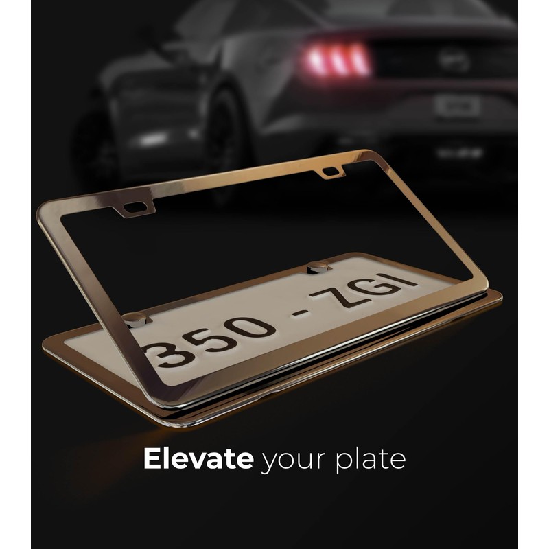 Deselen Gloss Silver License Plate Frame, Metal Thin Stainless Steel