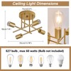 Dellemade Ceiling Light, 4 Lights Chandelier Ceiling Light for Living