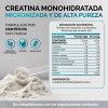 Pack Creatina Monohidratada Micronizada Polvo 100 Alta Pureza Certificada Sabor