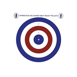 Bisley 14cm Coloured Targets 100 Pack