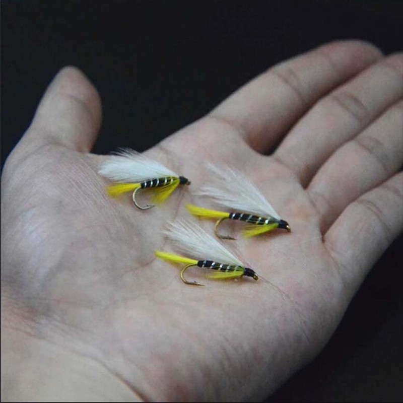 Qievcrme 10 moscas de pesca con mosca para trucha, lubina