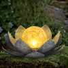 AIINY Garden Solar Light Outdoor(2Pack),Crackle Globe Glass Lotus Decoration, Waterproof