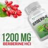 DOCTOR RECOMMENDED SUPPLEMENTS Berberine Plus 1200mg Per Serving - 120