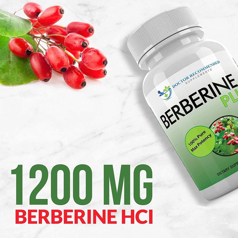 DOCTOR RECOMMENDED SUPPLEMENTS Berberine Plus 1200mg Per Serving - 120