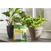 Miracle-Gro Indoor Plant Food Spikes, Plant Fertilizer, 1.1 oz., 24