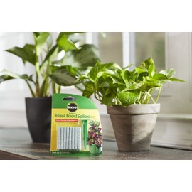 Miracle-Gro Indoor Plant Food Spikes, Plant Fertilizer, 1.1 oz., 24 Spikes/Pack (24-Pack)