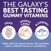 SmartyPants Toddler Formula Daily Gummy Multivitamin: Vitamin C, D3, &