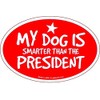 My Dog is Smarter Than The President