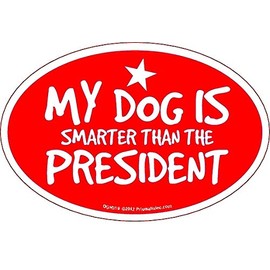 My Dog is Smarter Than The President