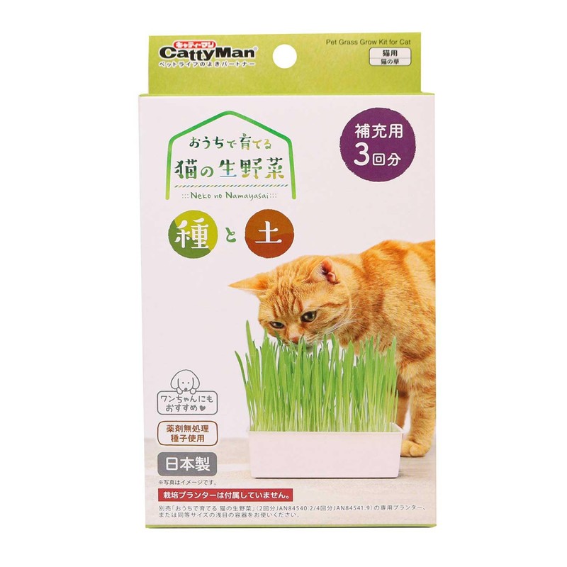 Cat Man Grown at Home, Raw Cat Vegetables, Seeds and