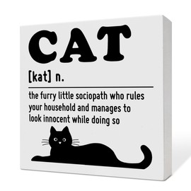 Cat Decor, Cat Decorations for The Home Bedroom Living Room, Cat Decor for Home Office Desk, Cat Gifts for Cat Lover Cat Mom Cat Dad, Cat Owner Gifts for Women Men, Wooden Box Cat Decor, Cat