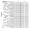 TreeSeek® 15 Generation Pedigree Chart | Blank Genealogy Forms for