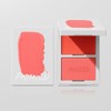 Painted Blush Cream & Powder Duo Super Pigmented Blendable Blushes
