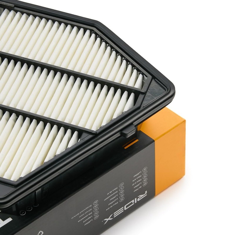RIDEX 8A0991 Engine Air Filter, Air Filter Insert, Car Filter,