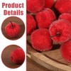 CHGCRAFT 10Pcs Artificial Foams Apples Mini Red Apple Foam Fruit