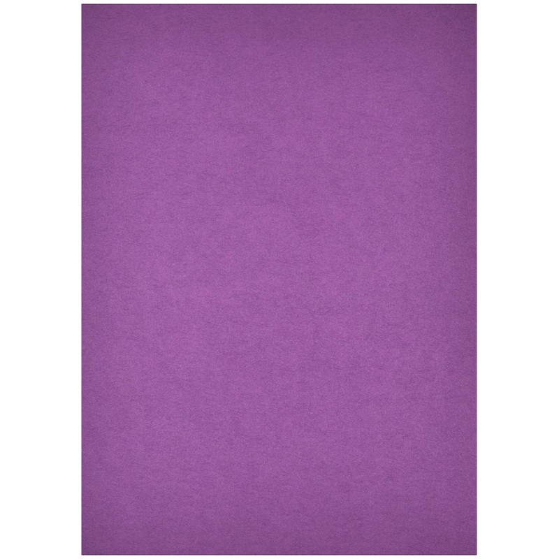 Nagatoya Shoten Crayon Color A4 Murasaki, 20 Sheets Na-CR009