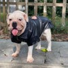 Lovelonglong Cool Dog Leather Jacket, Warm Coats Dogs Windproof Cold