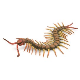 CollectA, Centipede, Collectable Animal Figurine Roleplay Toy