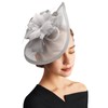 DRESHOW Fascinator Hats for Women Pillbox Hat with Veil Headband