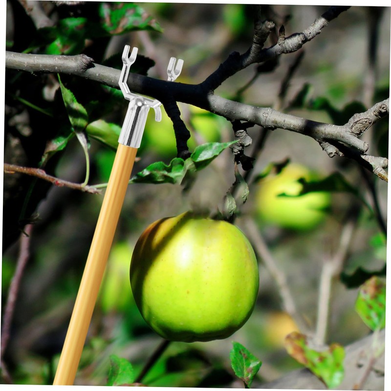 BESPORTBLE 10pcs Metal Tree Branch Support Forks Support for Fruit