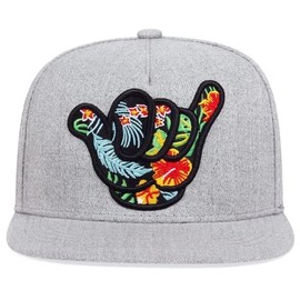 sproutsy Men's Snapback Cap, Straight, Flat, Hip Hop, Hawaii, Okinawa, Aloha Korea, Popular, Hat, Flashy, Stylish, Women's, gray