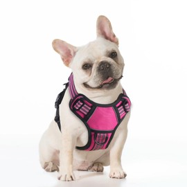 BUMBIN Dog Harness for Large Dogs, No Pull Adjustable No Choke Pet Vest with Dog Leash Fit Smart Reflective Pet Walking Harness for Training Easy Control Soft Handle Rose Red S