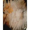 Cantaloupe Melon Garden Seeds -2 Packets @ 50 Seeds Total