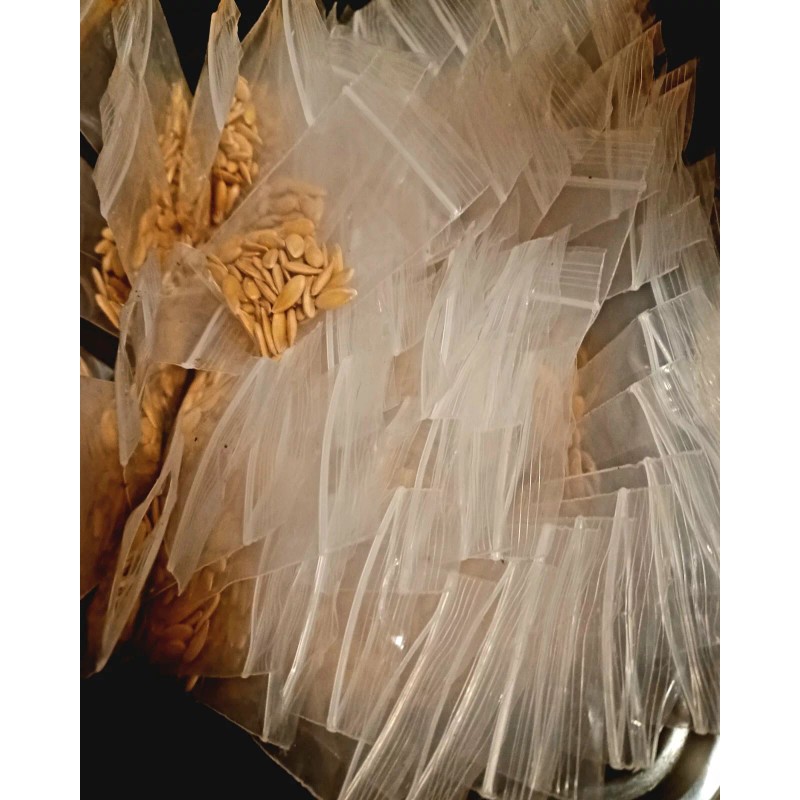 Cantaloupe Melon Garden Seeds -2 Packets @ 50 Seeds Total