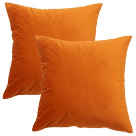 GONOVE Cushion Covers 45x45cm Decorative Modern Throw Pillow Case Pack of 2 Velvet Soft Pillow Cushion Covers Square Orange Pillowcase for Livingroom Sofa Bedroom