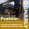 Gnarly Nutrition Gnarly Nutrition Gnarly Whey Grass-Fed Protein Supplement, Vanilla
