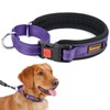 No Pull Martingale Collar for Medium Large Dogs Precision Fit
