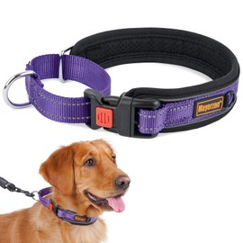 No Pull Martingale Collar for Medium Large Dogs Precision Fit Escape Proof