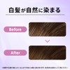 Wella Color Treatment, Hair Dye, Swell Care, Ash Black, 6.3