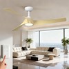 52 inch Modern Ceiling fans with Lights and remote, 3