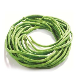 30PCS Yard Long Bean Seeds Heat Tolerant Non-GMO Heirloom Seeds