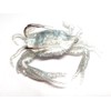 Soft 3D Crab 100mm 19g 4/0 Double Hook Wreck Jig