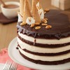 Wilton Easy Layers! Backformen-Set für Runde Schichtkuchen, 20,3 cm, 4-Teilig