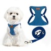 PUPTECK Dog Harness and Leash Set Small Sized, Step-in Cute