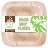 Verterra Palm Leaf Plates, 100% Compostable - 4 inch Wide,
